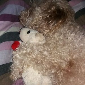 Meet your Posher, Cherie